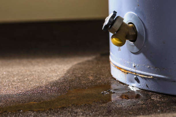 Best 24-hour water damage restoration  in June Park, FL