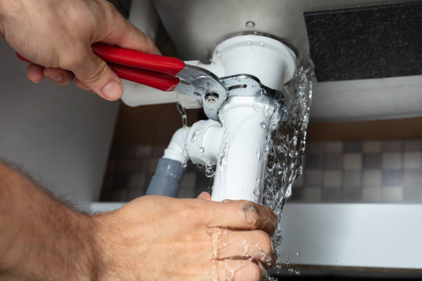 Best Water damage mitigation services  in June Park, FL