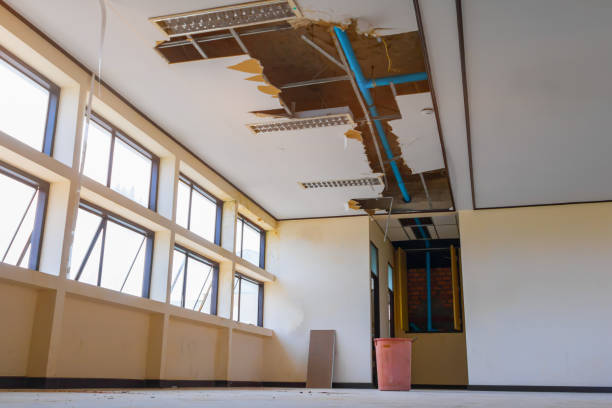 Best Water damage mitigation services  in June Park, FL