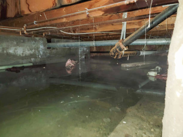 Carpet water damage restoration in FL