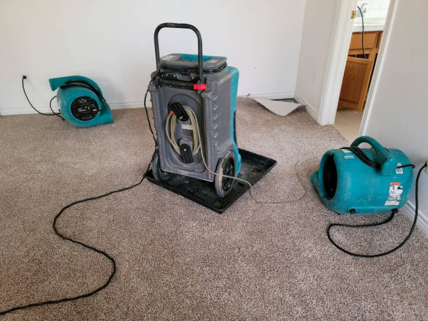 Best Basement water damage restoration  in June Park, FL