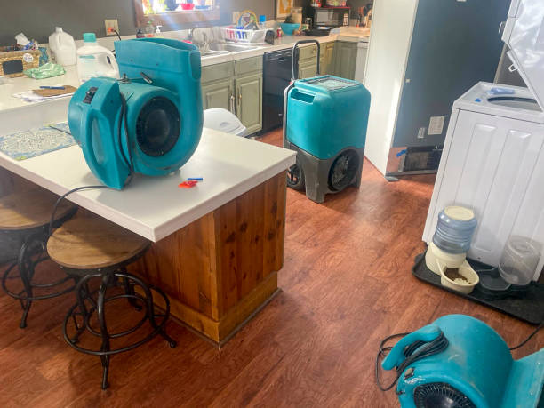  June Park, FL Water damage restoration Pros
