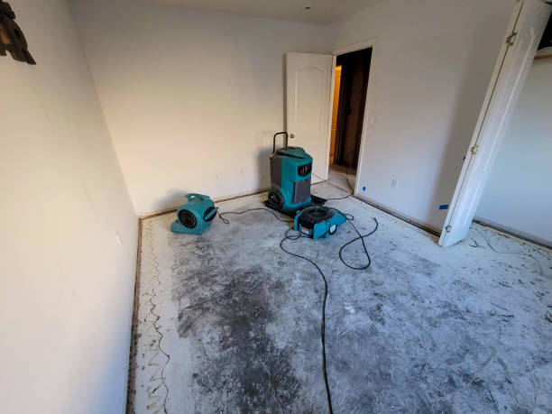 Trusted FL Water damage restoration Experts