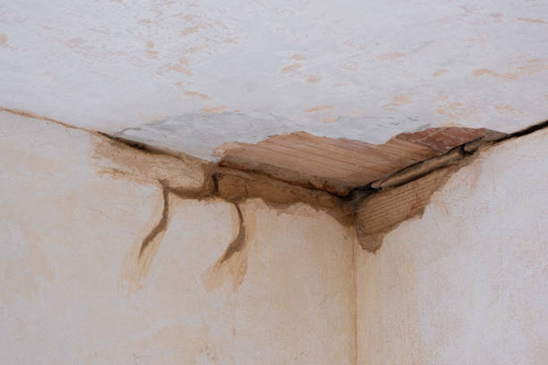 Best Basement water damage restoration  in June Park, FL