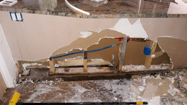 Best 24/7 water damage repair  in June Park, FL