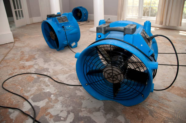 Best Commercial water damage restoration  in June Park, FL