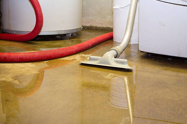 Best Flood restoration services  in June Park, FL