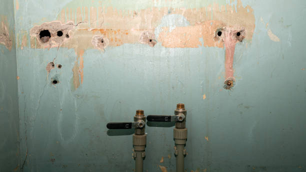 Best Water damage contractors near me  in June Park, FL