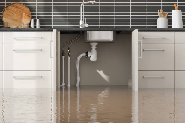 Best Water damage restoration services  in June Park, FL