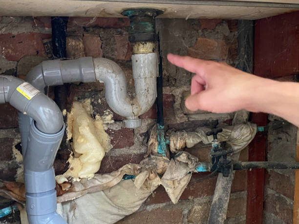 Best Water damage contractors near me  in June Park, FL