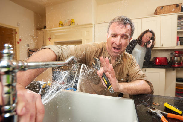 Best Mold removal after water damage  in June Park, FL